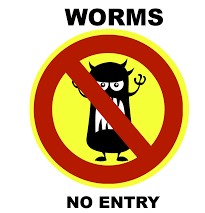 worm (2).jpg