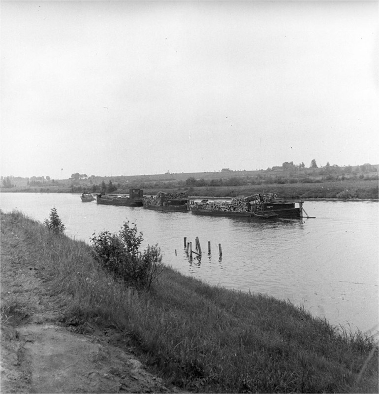 metsavedu 1953.jpg