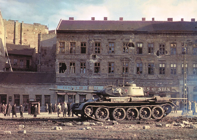 T-44-colour.jpg