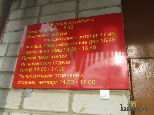 1352962934_047_5.jpg