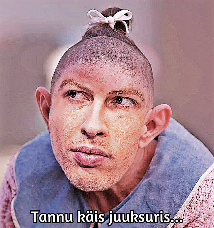tanel_kiik.png