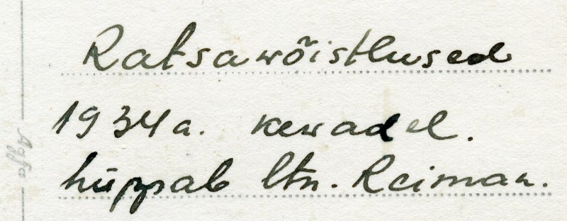 ratsaväerüg võistlus 04a 1.jpg