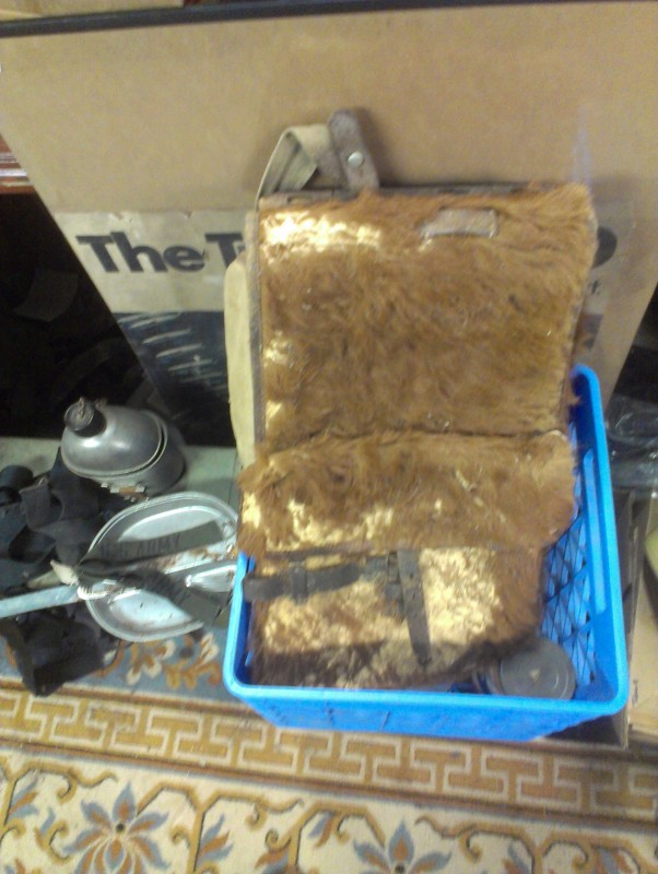 IMAG0115.jpg