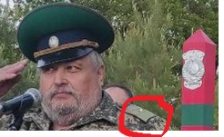 vene PV gen.major.jpg