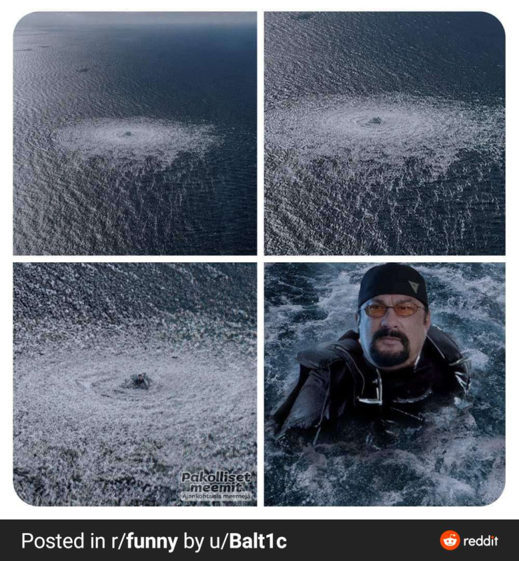 seagal.jpg