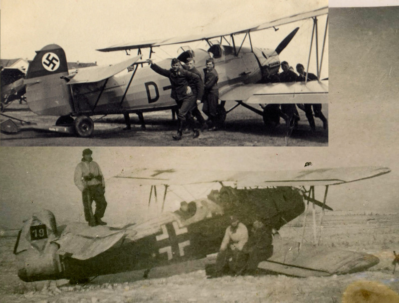 Arado.jpg