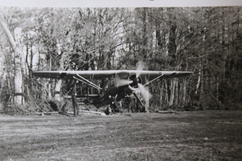 4HAGr21-04.jpg