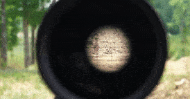 IMG_0481.gif