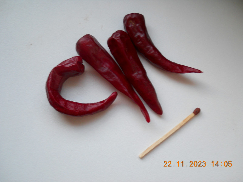 DSCN4146.JPG