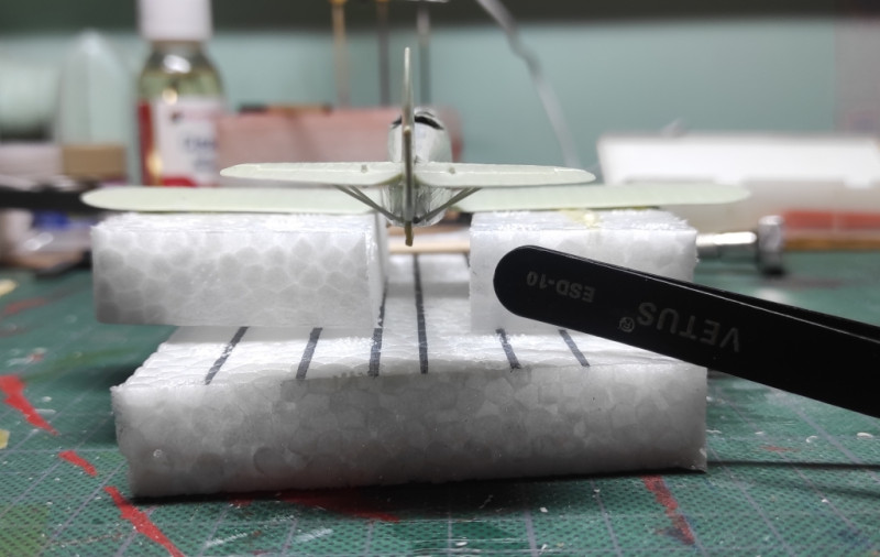 Veel nipet näpet nagu tagumiste tiibade toed, nood tegin lihtsalt stüreeniribast.