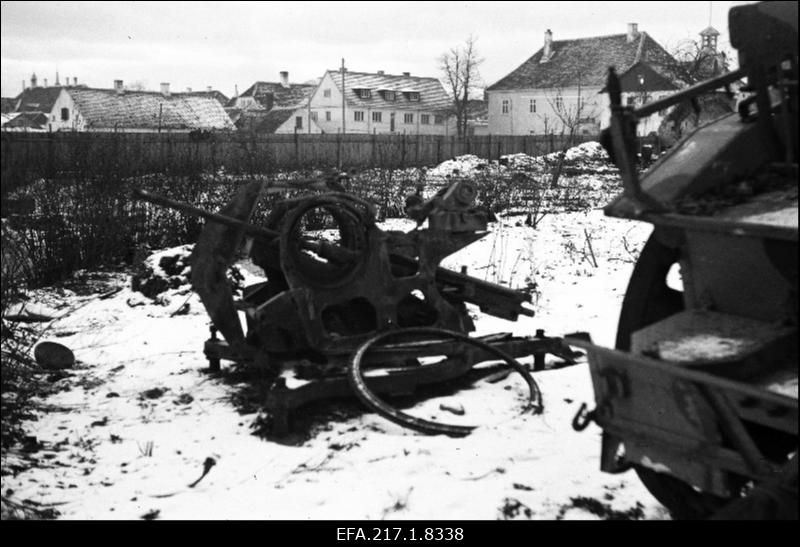 turg.jpg
