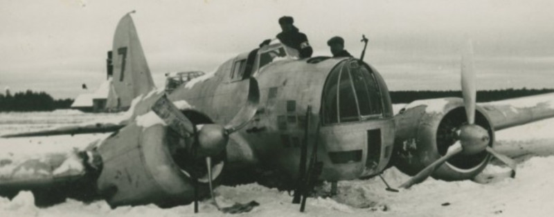 DB-3.jpg