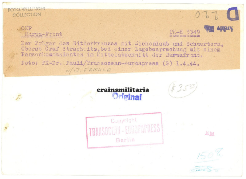 Strachwitz_Famula_2.jpg
