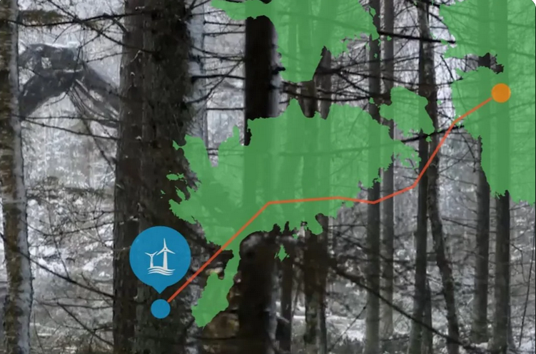 saaremaa.png
