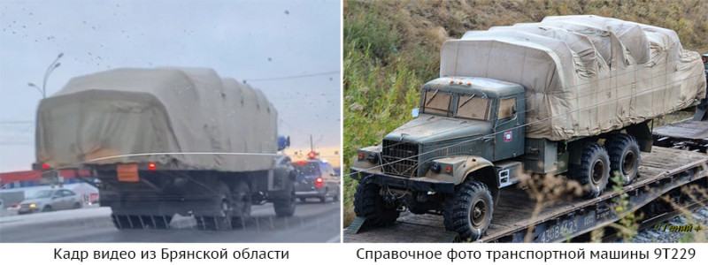 9t229.jpg