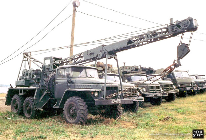 9t31m.jpg