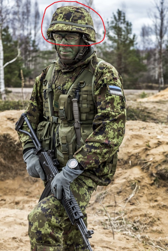 Eesti digilaik kiivrikate metsamustriga.jpg