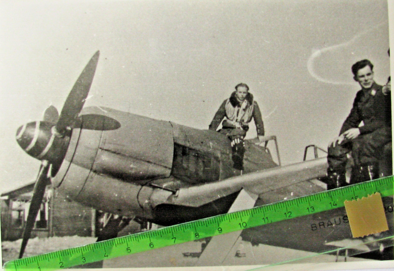 JG 54 Jõhvi 1944.png