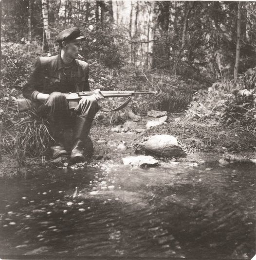 Näide heast graafikast: metsavend oja ääres