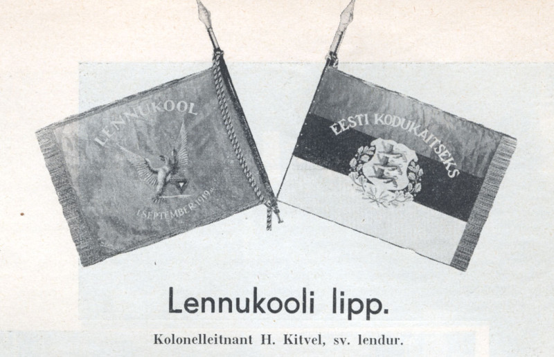 lennukooli_lipp.jpg