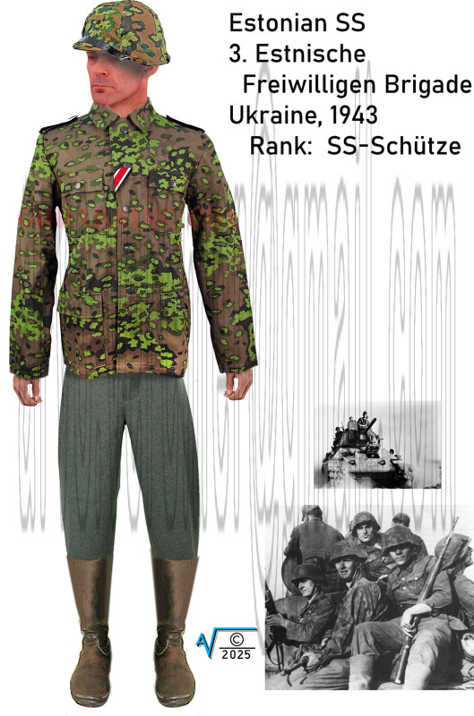1943 Ukraine Estonian SS 3 Freiwilligen Brig Schutze v1 (1050px).jpg