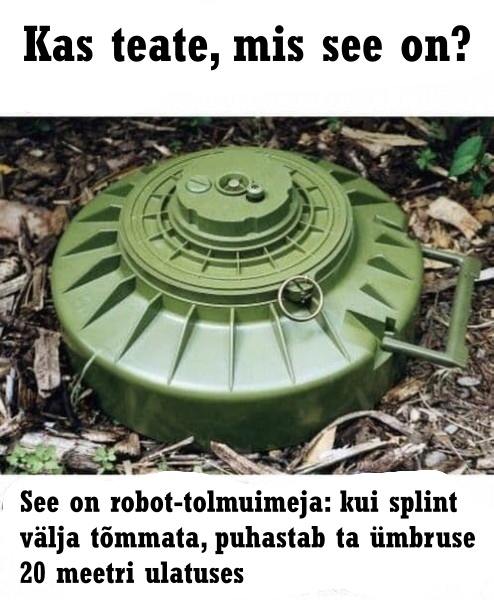 489644338_1956213038239710_1941208759159520786_n.jpg