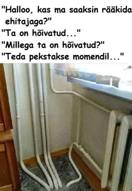 FB_IMG_1754130148518.jpg