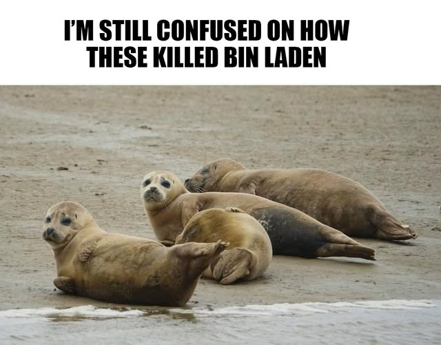 SEAL.png