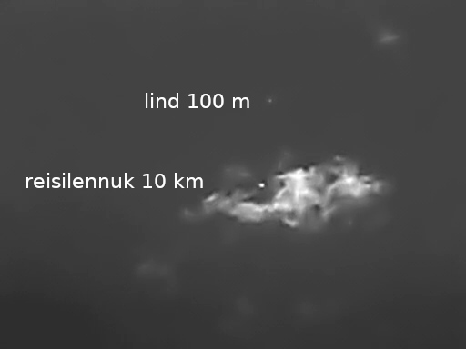 Reisilennuk ja lind