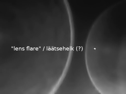 Läätsehelk
