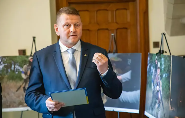 Valeri Zalužnõi