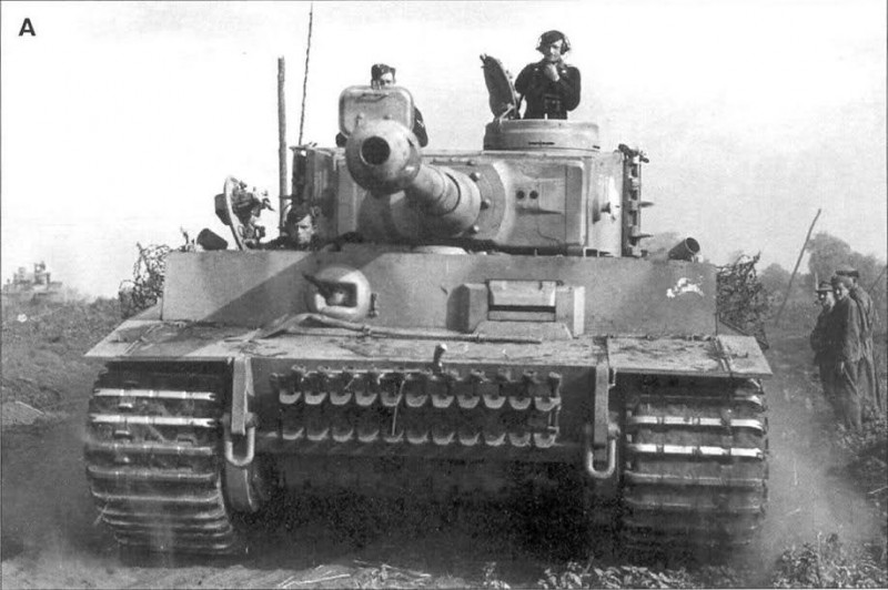 TIGER_WIKING_3.jpg