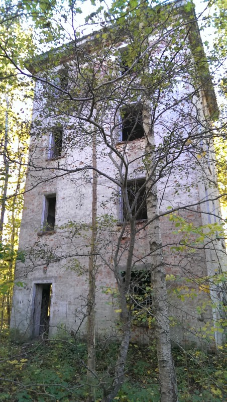 IMAG0196.jpg