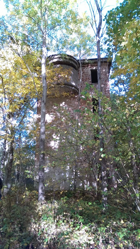 IMAG0235.jpg