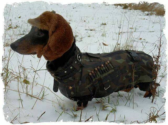 militaartax.jpg