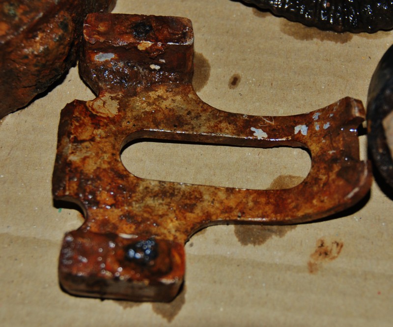 DSC_1007.JPG
