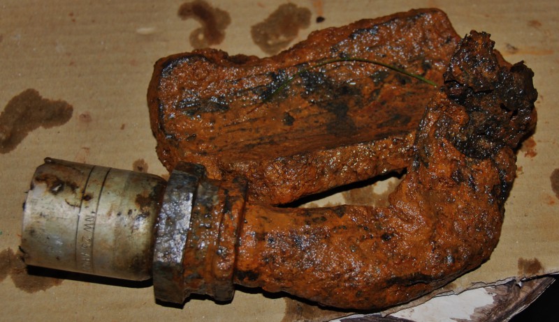 DSC_1006.JPG