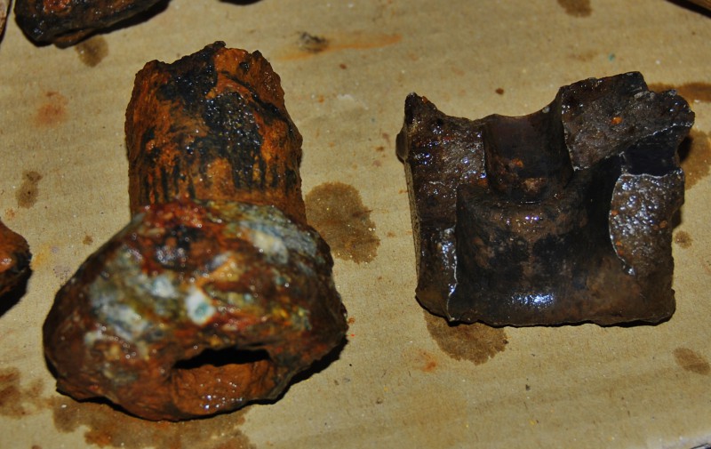 DSC_0998.JPG