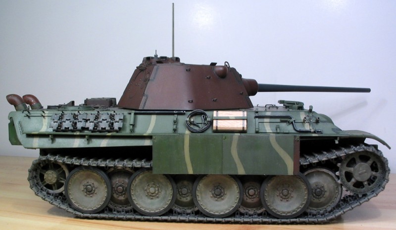 IMG_6383 crop cor min.jpg