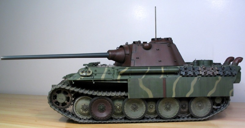 IMG_6380 crop cor min.jpg