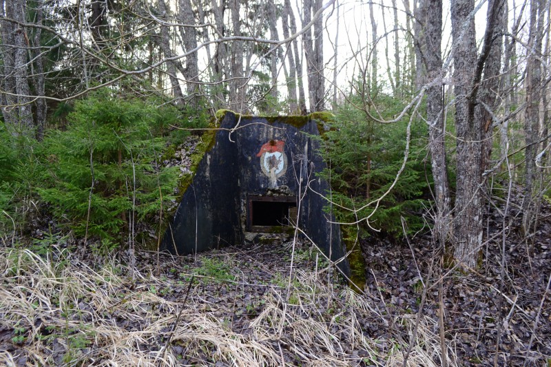 DSC_0334.JPG