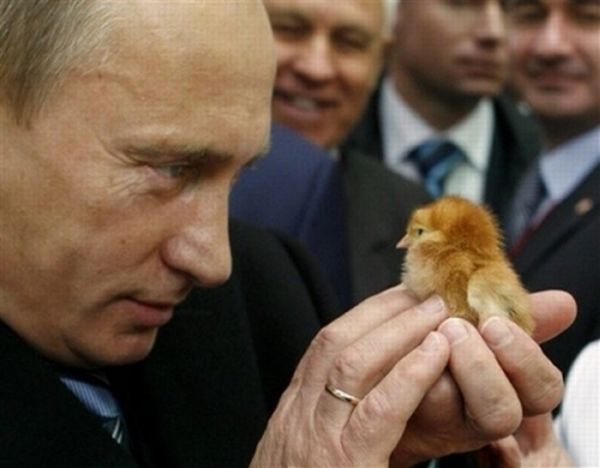 а глаза у него добрые-добрые.