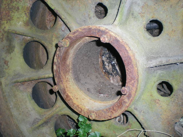 ott 002.JPG