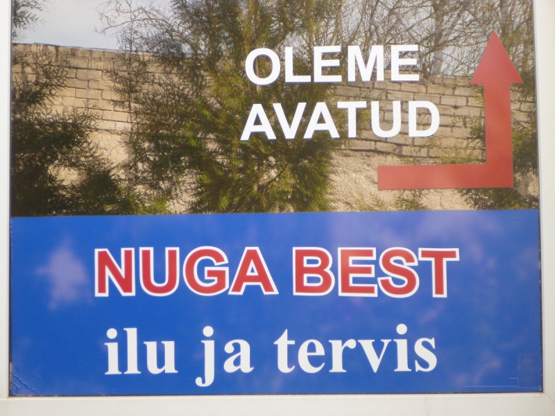 P1030111.jpg