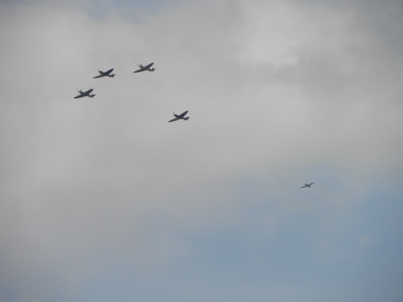 P9145456.JPG