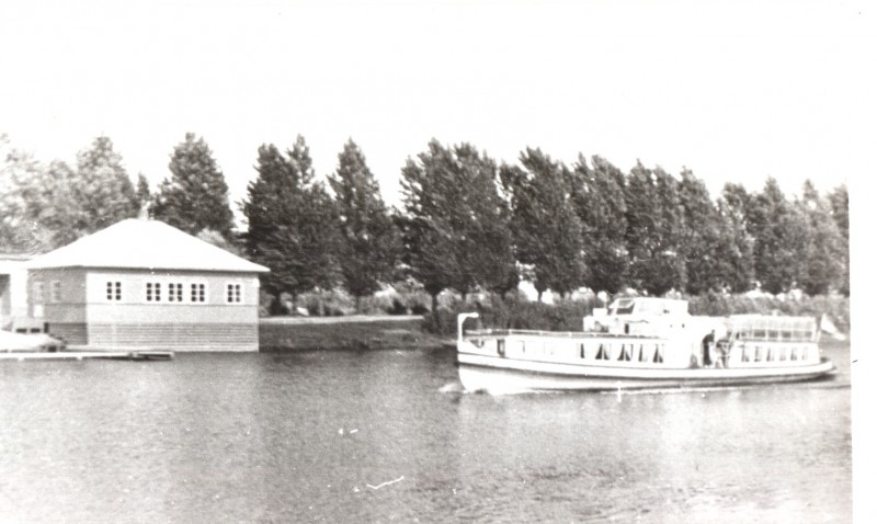 Tasuja-2.jpg