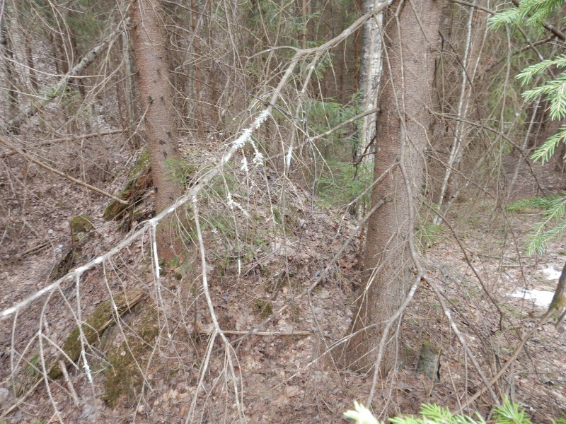 DSCN0793.JPG